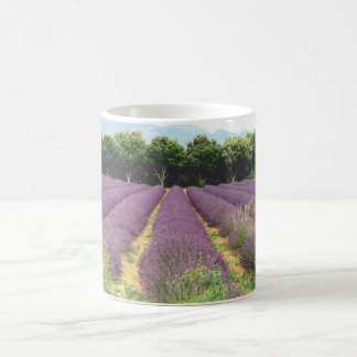 Lavendel-Feld - Drome Provencal, Frankreich Tasse