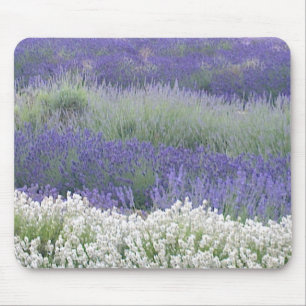 Lavendel-Feld Mousepad