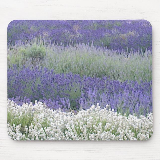Lavendel-Feld Mousepad (Vorne)