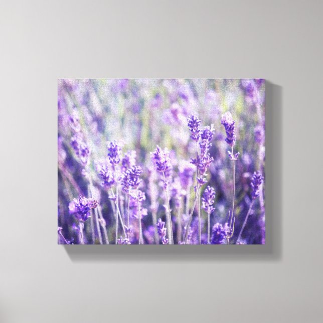 Lavendel Field Floral Leinwanddruck (Vorderseite)