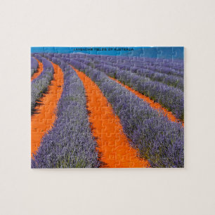 Lavendel Fields von Australien Puzzle