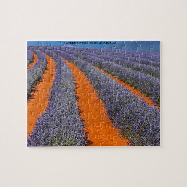 Lavendel Fields von Australien Puzzle (Horizontal)