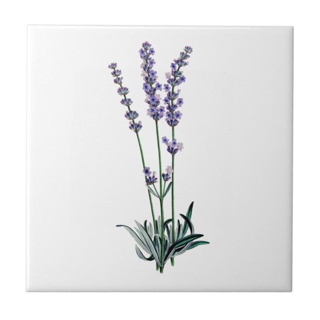 Lavendel Fliese (Vorderseite)