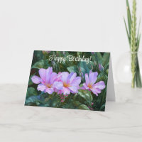 Lavendel Garden Blume Kunst, Dichtung und Musik
