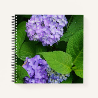 Lavendel Hortensie Notizbuch