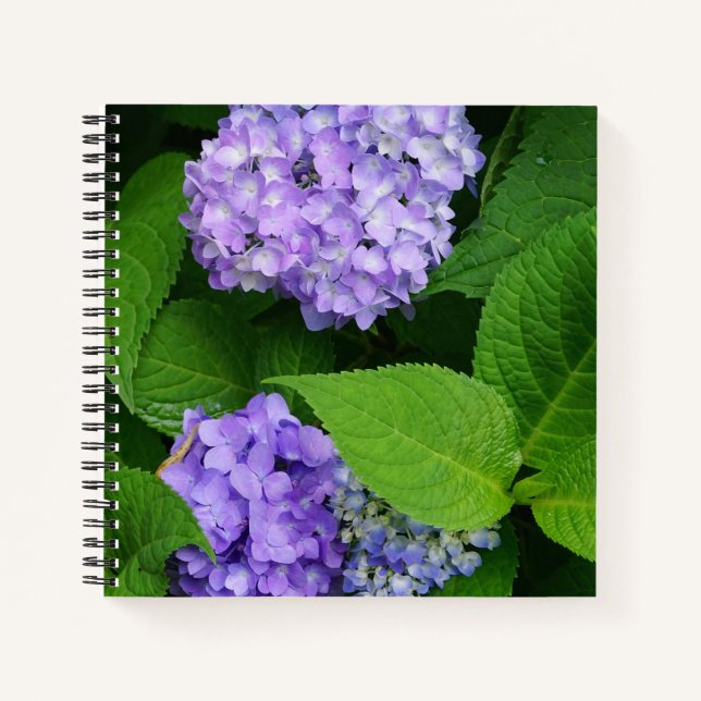 Lavendel Hortensie Notizbuch (Vorderseite)