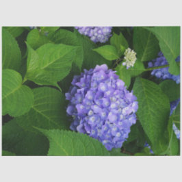 Lavendel Hortensie Seidenpapier
