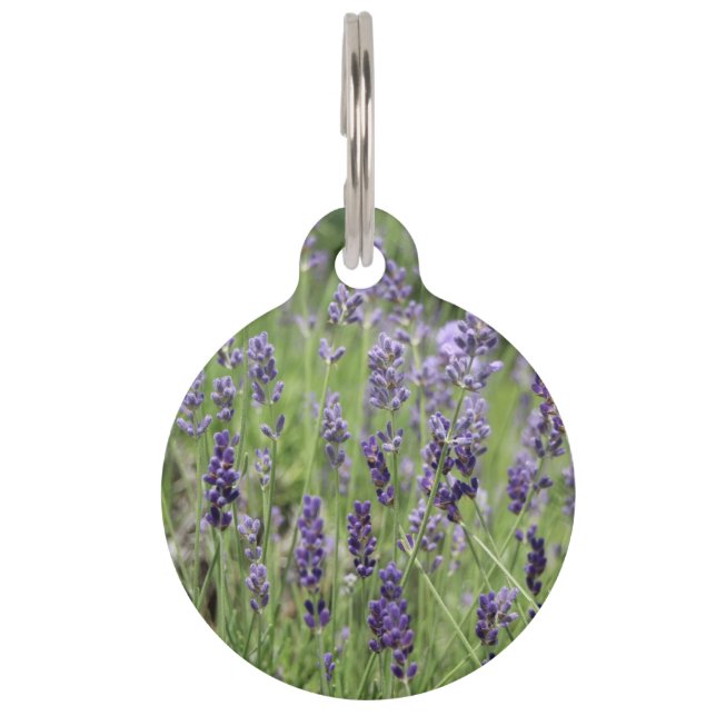 Lavendel-Hundeanhänger Haustiermarke (Vorderseite)