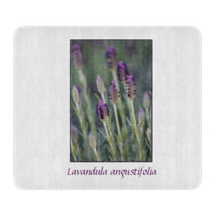 Lavendel in Bloom Schneidebrett