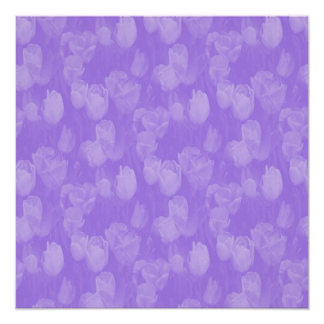 Lavendel in der Liebe.... Poster (Vorderseite)