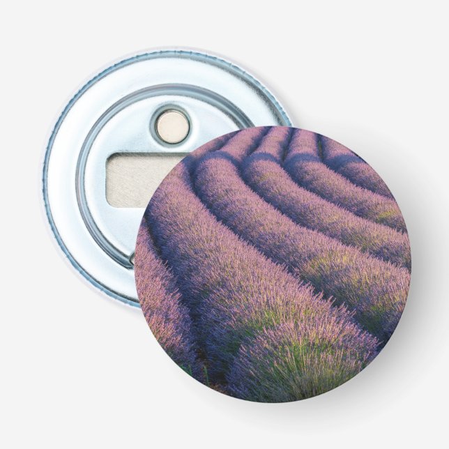 Lavendel in der Provence Flaschenöffner (Vorderseite)