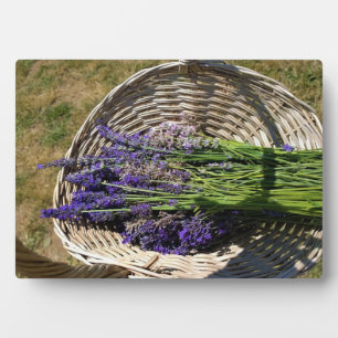 Lavendel in einem Korb Fotoplatte