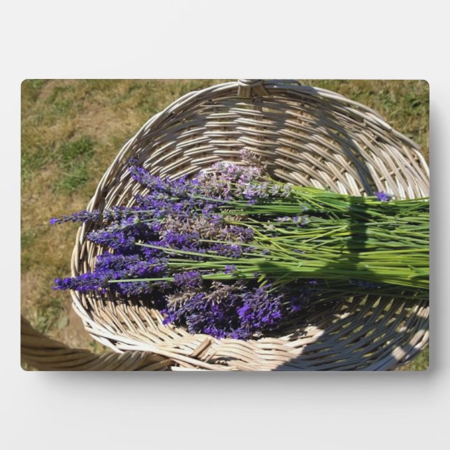 Lavendel in einem Korb Fotoplatte (Vorderseite)