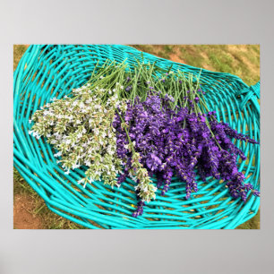 Lavendel in einem Korb Poster