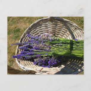 Lavendel in einem Korb Postkarte