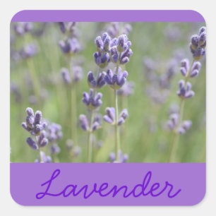 Lavendel Inspiriert Stickers