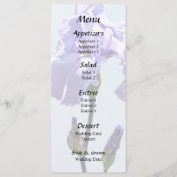 Lavendel Iris und Knospen