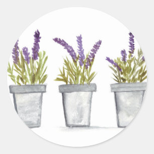 Lavendel-Kräuter-Töpfe Aquarell Blumen lila chic Runder Aufkleber