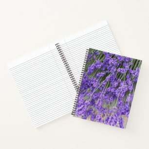 Lavendel-Kräuterblüten Floral Notizbuch