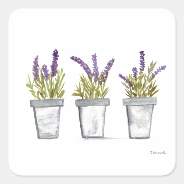 Lavendel Kräuterkasten Aquarell lila Pflanze Quadratischer Aufkleber (Vorderseite)