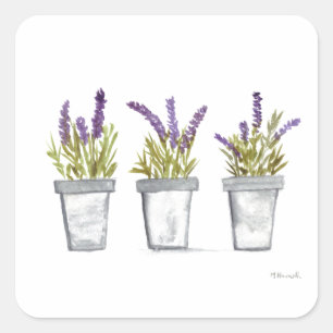 Lavendel Kräuterkasten Aquarell lila Pflanze Quadratischer Aufkleber