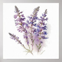 Lavendel Larkspur Blume Art Print Poster