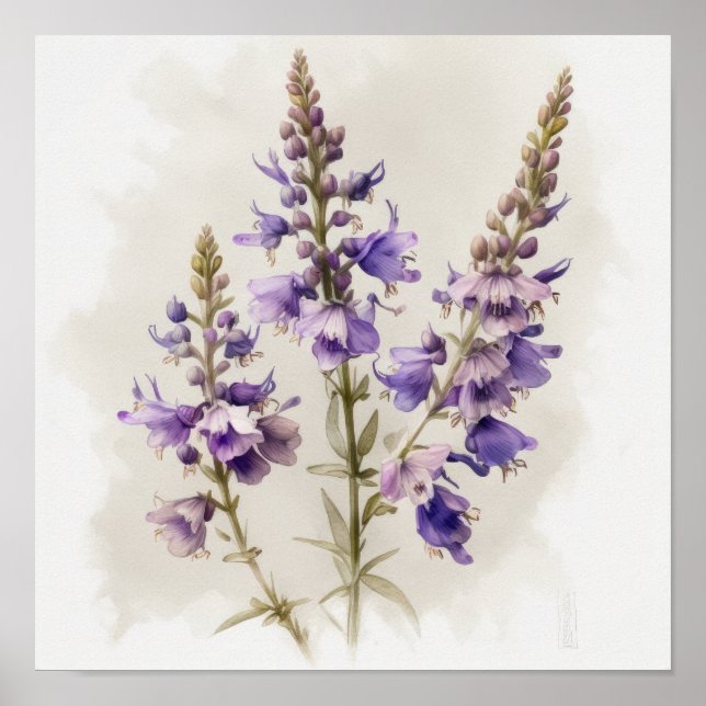 Lavendel Larkspur Blume Art Print Poster (Vorne)
