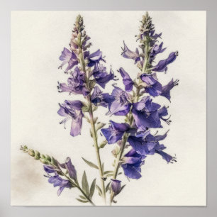 Lavendel Larkspur Blume Art Print Poster