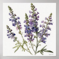 Lavendel Larkspur Blume Art Print Poster