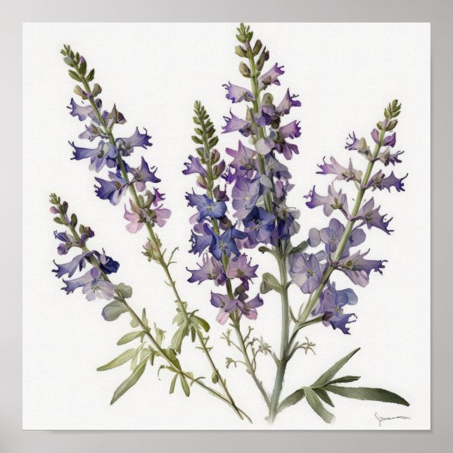 Lavendel Larkspur Blume Art Print Poster (Vorne)