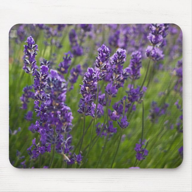 Lavendel | Lavendel Mousepad (Vorne)