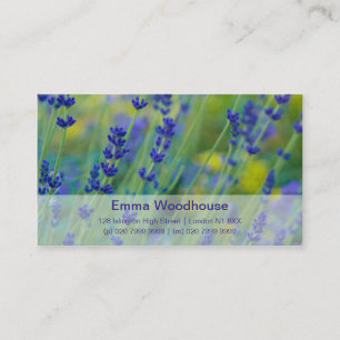 Lavendel Lavendel Visitenkarte
