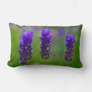 Lavendel Lendenkissen