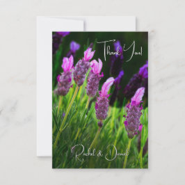 Lavendel, Liebe & Hingabe, Hochzeit Dankeskarte