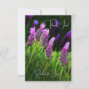 Lavendel, Liebe & Hingabe, Hochzeit Dankeskarte
