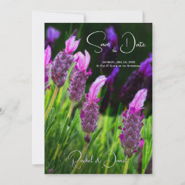 Lavendel, Liebe und Hingabe, Hochzeit speichern Si Einladung