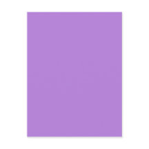 Lavendel Lila Farbe