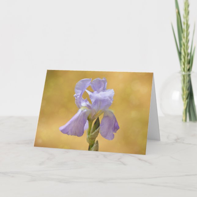 Lavendel Lila Iris Blume Art Karte (Vorderseite)