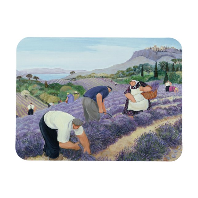 Lavendel Magnet (Horizontal)