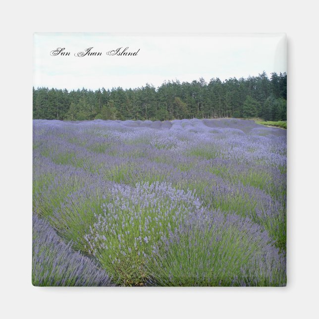 Lavendel Magnet (Vorne)