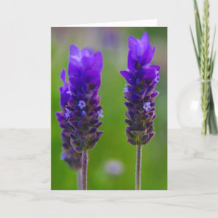 Lavendel-Mama-Liebe Karte