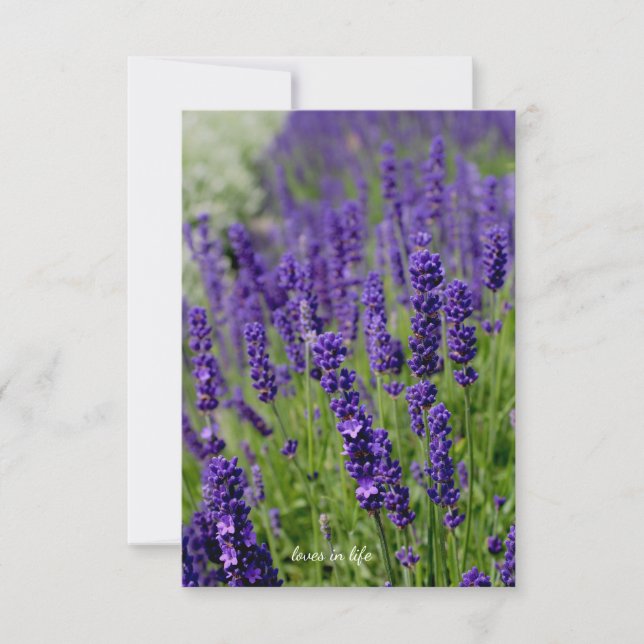 Lavendel Mitteilungskarte (Vorderseite)