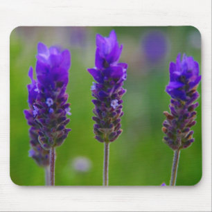 Lavendel Mousepad