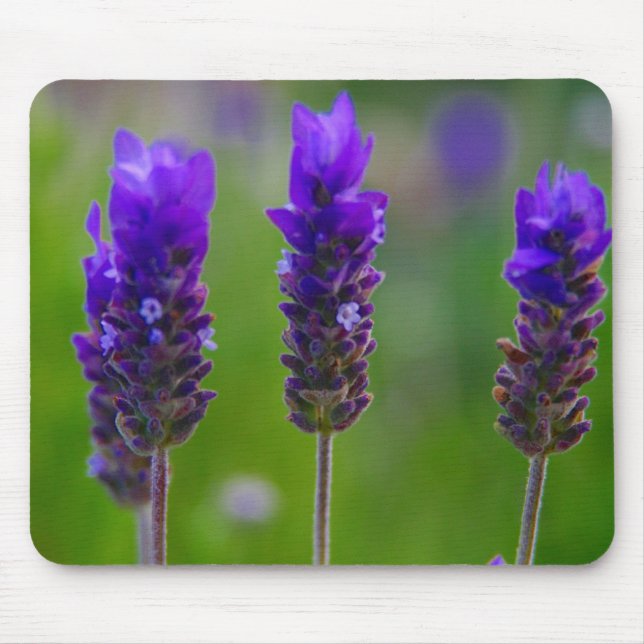 Lavendel Mousepad (Vorne)