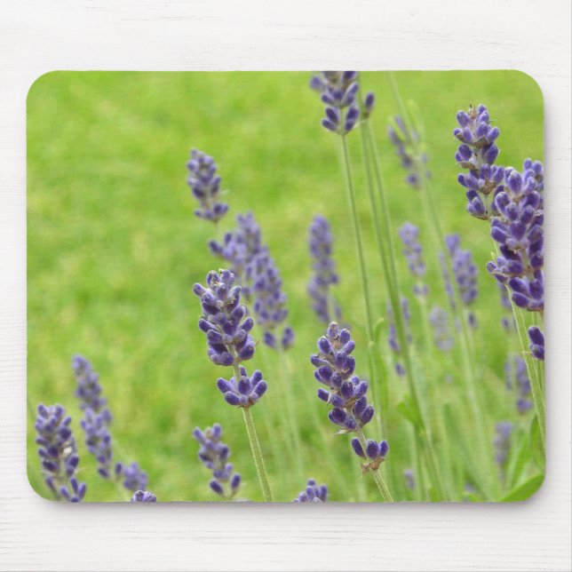 Lavendel Mousepad (Vorne)