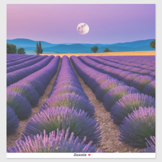 Lavendel Natur Außenwelt Landschaft Ruhe Friedlich Aufkleber (Blatt)
