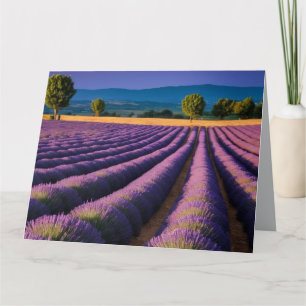 Lavendel Natur Außenwelt Landschaft Ruhe Friedlich Karte