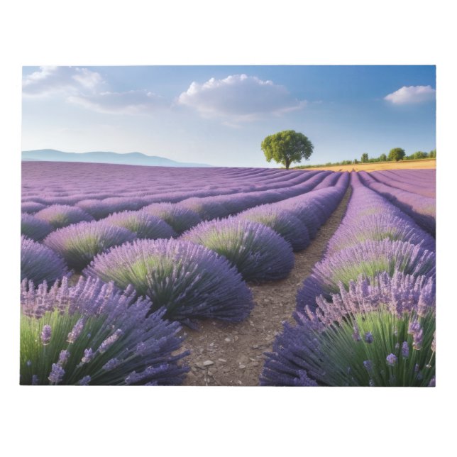 Lavendel Natur Außenwelt Landschaft Ruhe Friedlich Notizblock (Vorderseite)