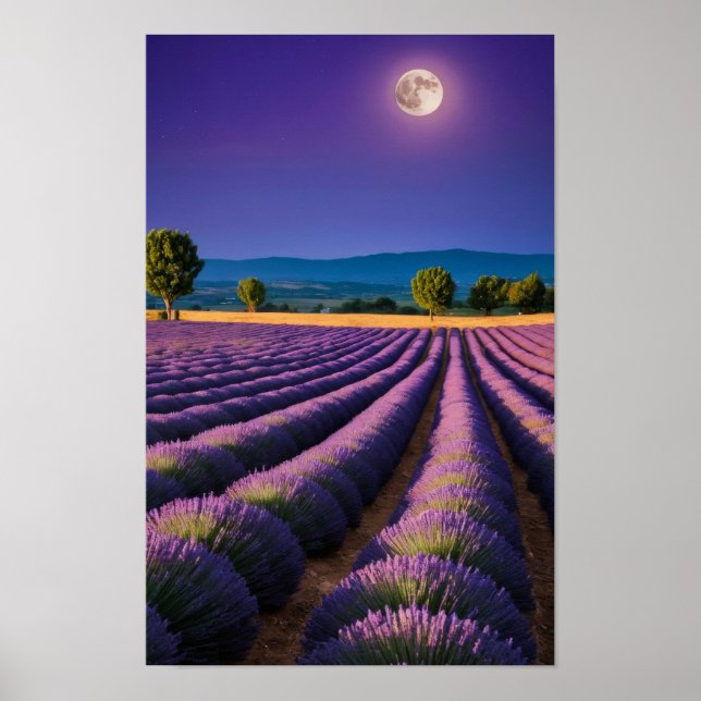 Lavendel Natur Außenwelt Landschaft Ruhe Friedlich Poster (Vorne)