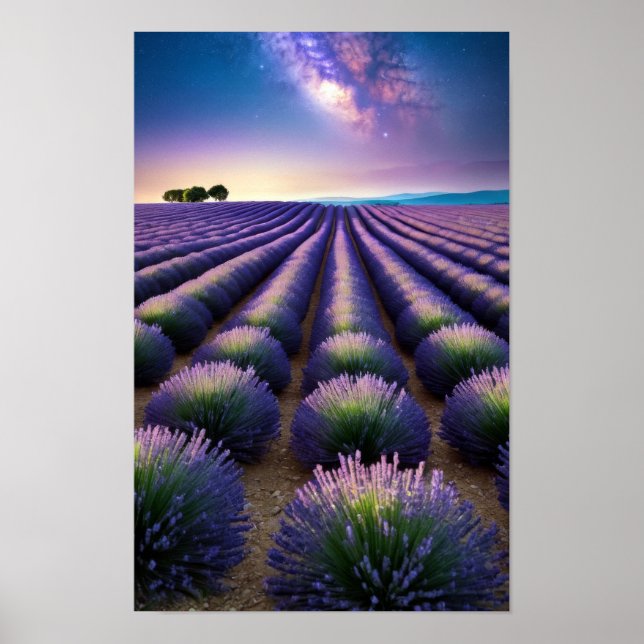 Lavendel Natur Außenwelt Landschaft Ruhe Friedlich Poster (Vorne)